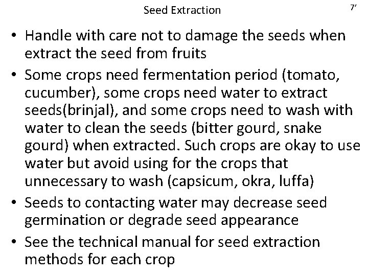 Seed Extraction 7’ • Handle with care not to damage the seeds when extract