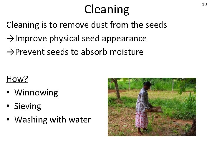 Cleaning is to remove dust from the seeds →Improve physical seed appearance →Prevent seeds