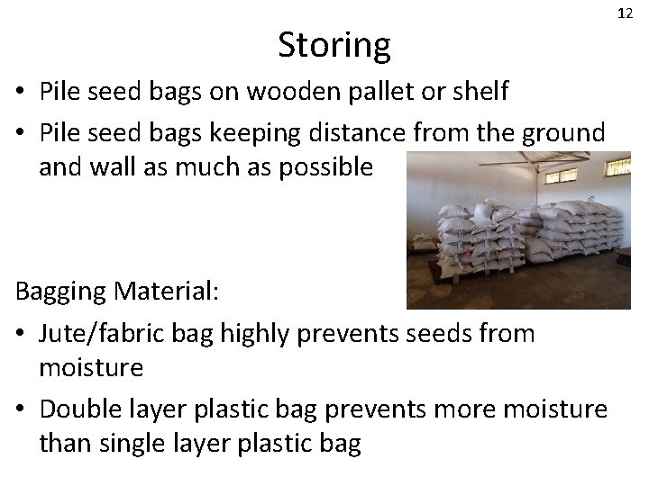 Storing • Pile seed bags on wooden pallet or shelf • Pile seed bags