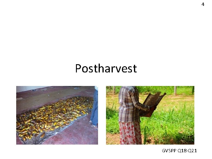 4 Postharvest GVSPP Q 18 -Q 21 