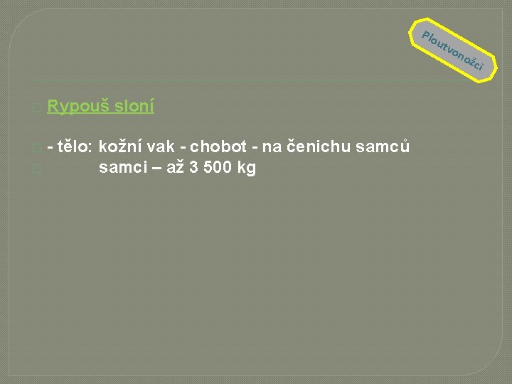 Plo utv on ožc � Rypouš sloní - tělo: kožní vak - chobot -