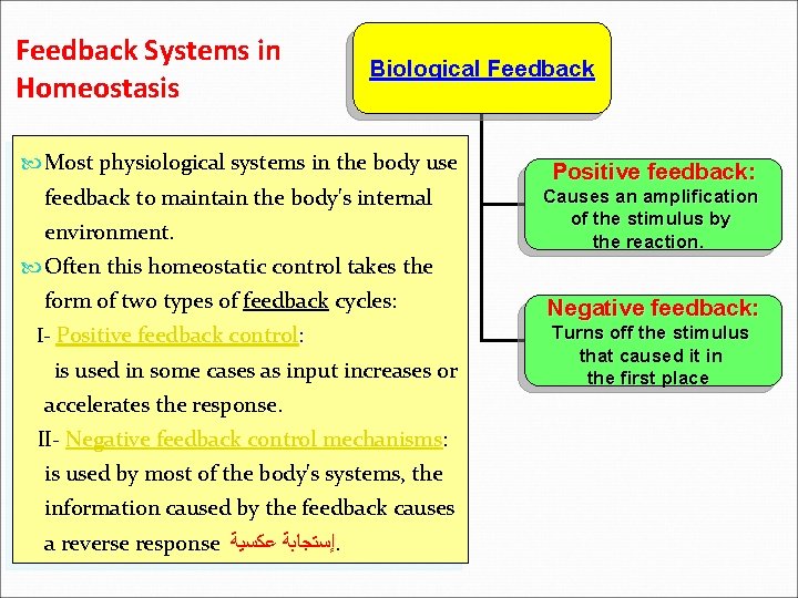 Feedback Systems in Homeostasis Biological Feedback Most physiological systems in the body use feedback