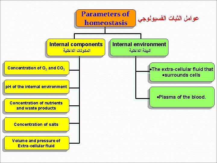 Parameters of homeostasis ﻋﻮﺍﻣﻞ ﺍﻟﺜﺒﺎﺕ ﺍﻟﻔﺴﻴﻮﻟﻮﺟﻲ Internal components Internal environment ﺍﻟﻤﻜﻮﻧﺎﺕ ﺍﻟﺪﺍﺧﻠﻴﺔ ﺍﻟﺒﻴﺌﺔ ﺍﻟﺪﺍﺧﻠﻴﺔ