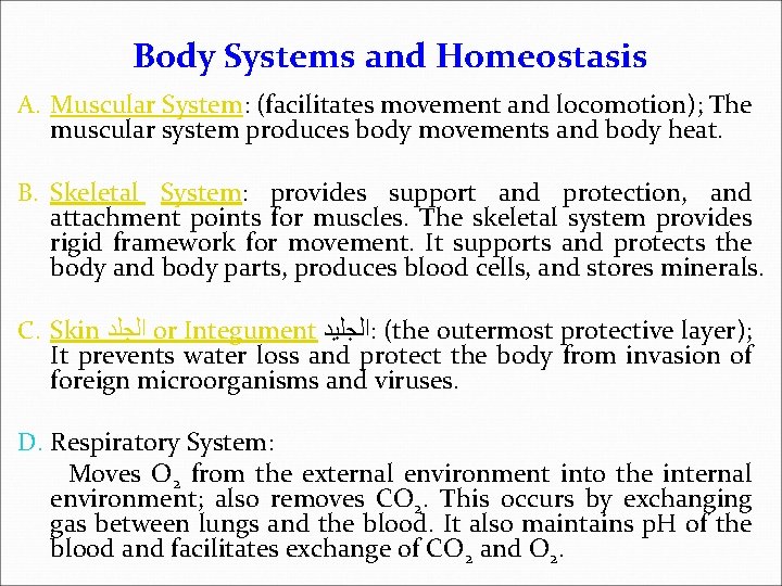 Body Systems and Homeostasis A. Muscular System: (facilitates movement and locomotion); The muscular system