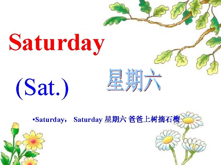 Saturday (Sat. ) • Saturday， Saturday 星期六 爸爸上树摘石榴 