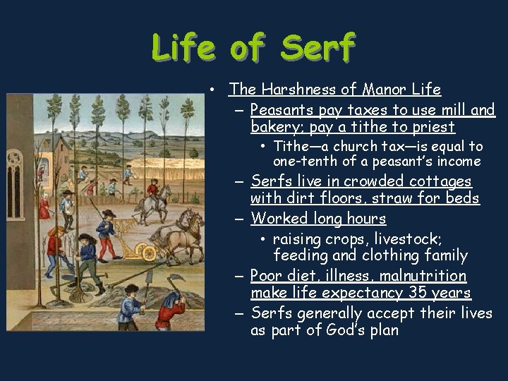 Life of Serf • The Harshness of Manor Life – Peasants pay taxes to