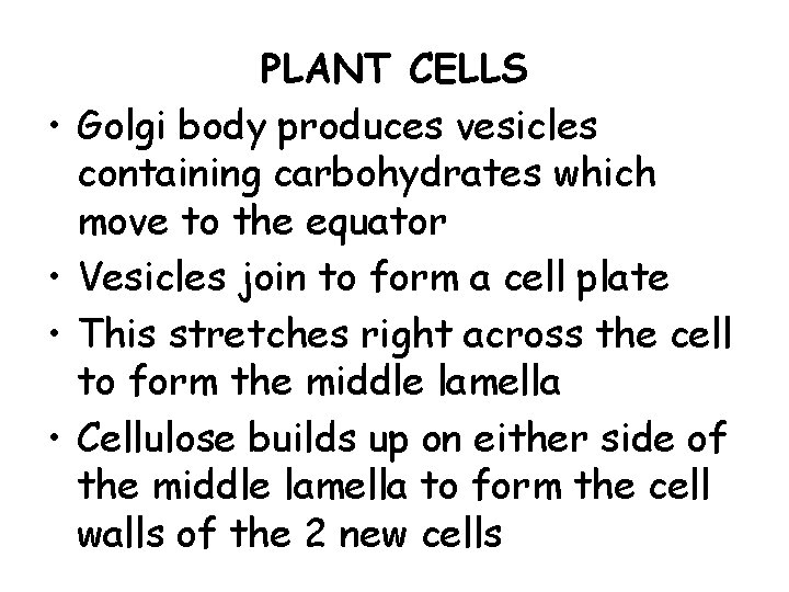  • • PLANT CELLS Golgi body produces vesicles containing carbohydrates which move to