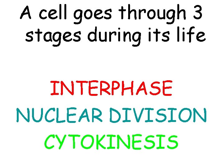 A cell goes through 3 stages during its life INTERPHASE NUCLEAR DIVISION CYTOKINESIS 