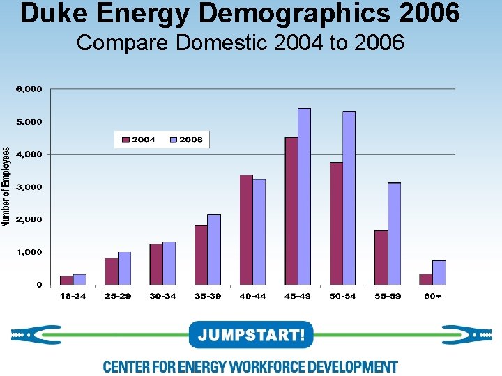Duke Energy Demographics 2006 Compare Domestic 2004 to 2006 