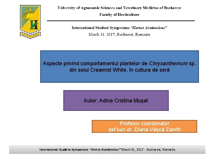 Aspecte privind comportamentul plantelor de Chrysanthemum sp. din soiul Creamist White, în cultura de