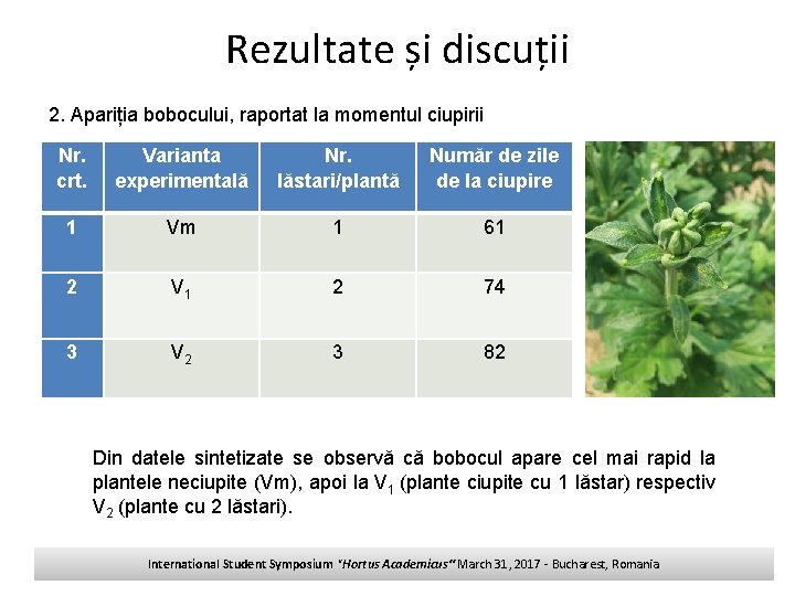 Rezultate și discuții 2. Apariția bobocului, raportat la momentul ciupirii Nr. crt. Varianta experimentală