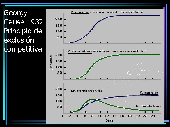 Georgy Gause 1932 Principio de exclusión competitiva 