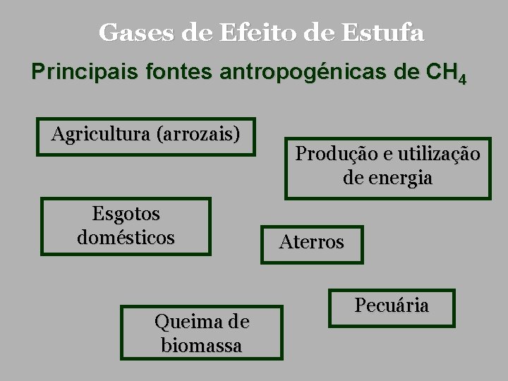 Gases de Efeito de Estufa Principais fontes antropogénicas de CH 4 Agricultura (arrozais) Esgotos