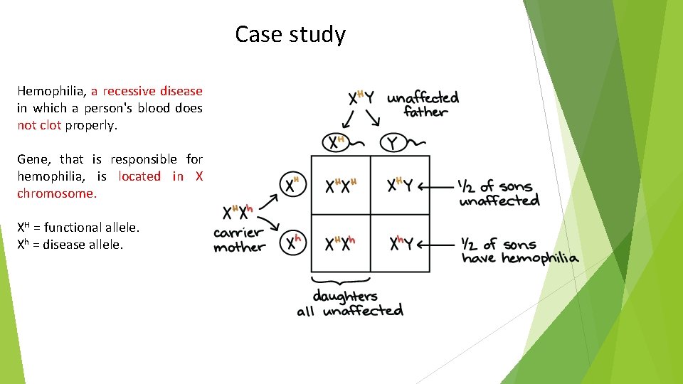 Case study Hemophilia, a recessive disease in which a person's blood does not clot