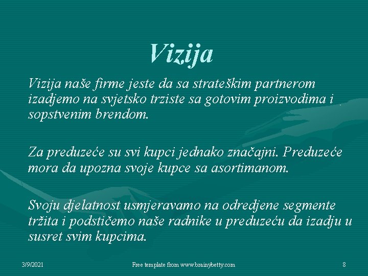 Vizija naše firme jeste da sa strateškim partnerom izadjemo na svjetsko trziste sa gotovim