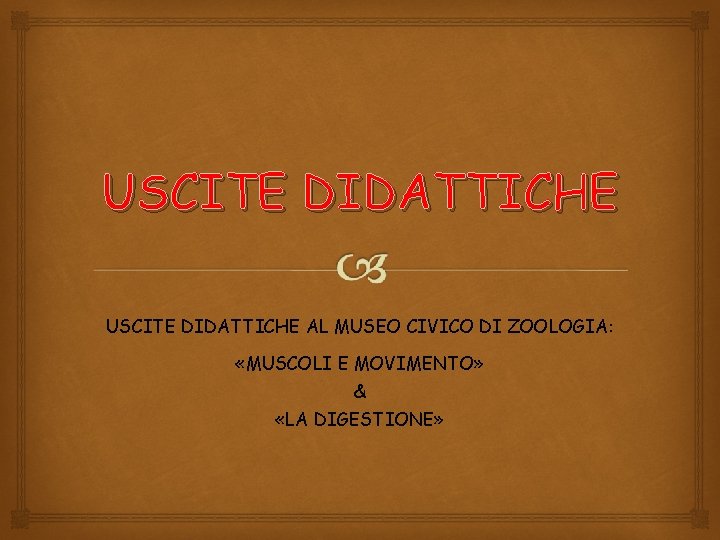 USCITE DIDATTICHE AL MUSEO CIVICO DI ZOOLOGIA: «MUSCOLI E MOVIMENTO» & «LA DIGESTIONE» 