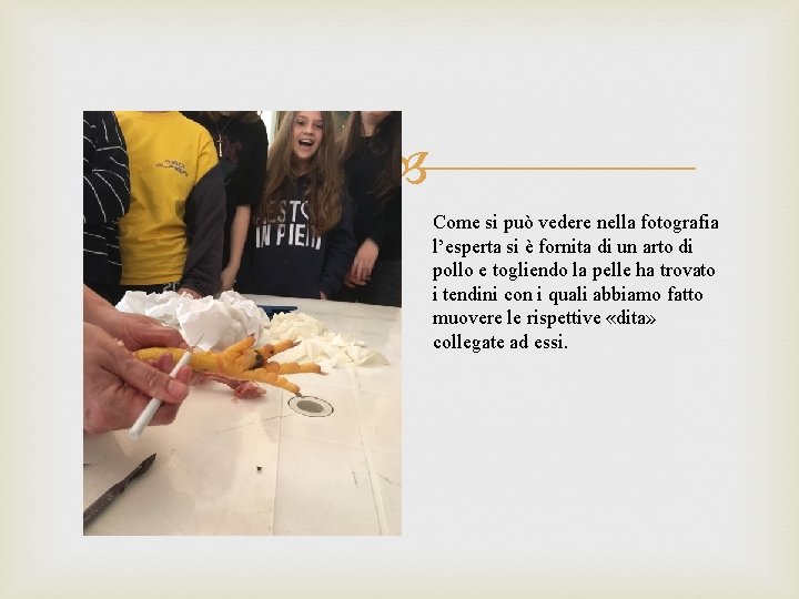  Come si può vedere nella fotografia l’esperta si è fornita di un arto