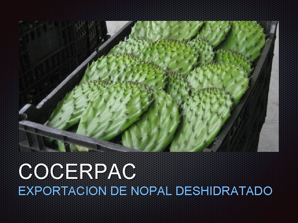 Texto COCERPAC EXPORTACION DE NOPAL DESHIDRATADO Texto COCERPAC EXPORTACION DE NOPAL DESHIDRATADO