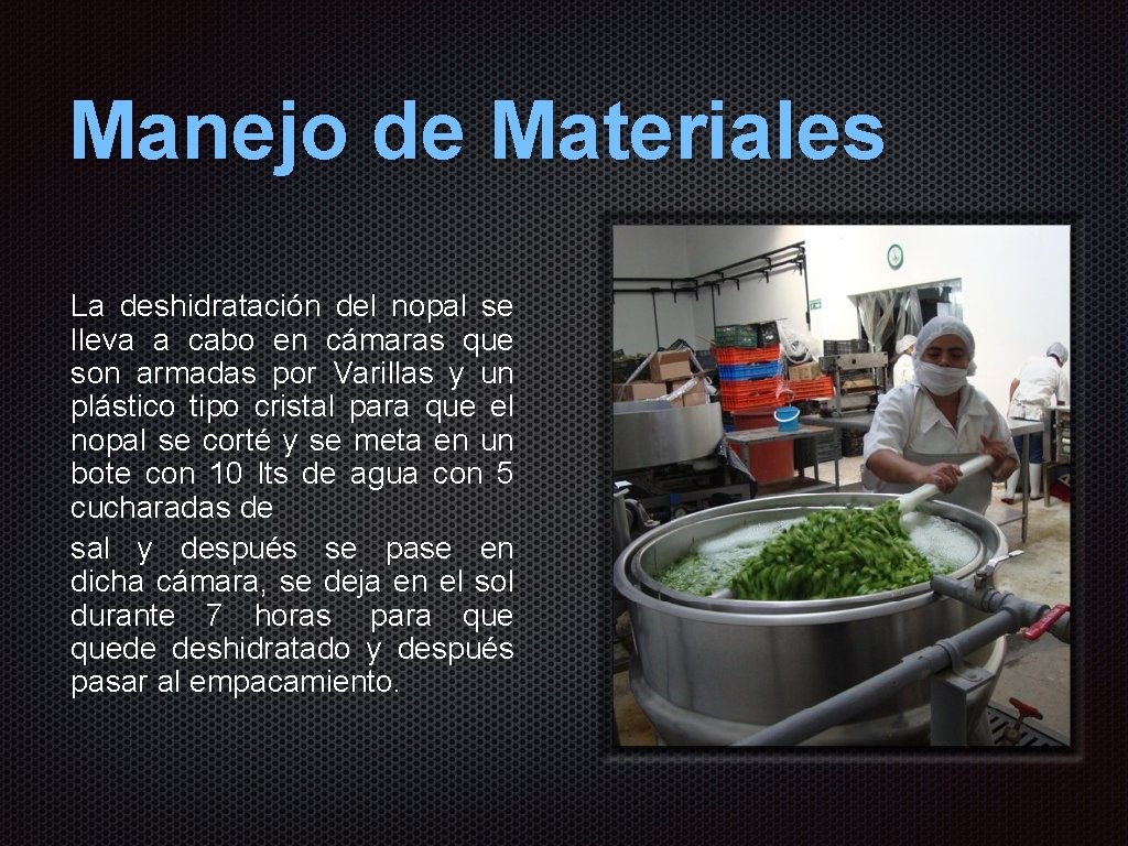 Manejo de Materiales La deshidratación del nopal se lleva a cabo en cámaras que Manejo de Materiales La deshidratación del nopal se lleva a cabo en cámaras que