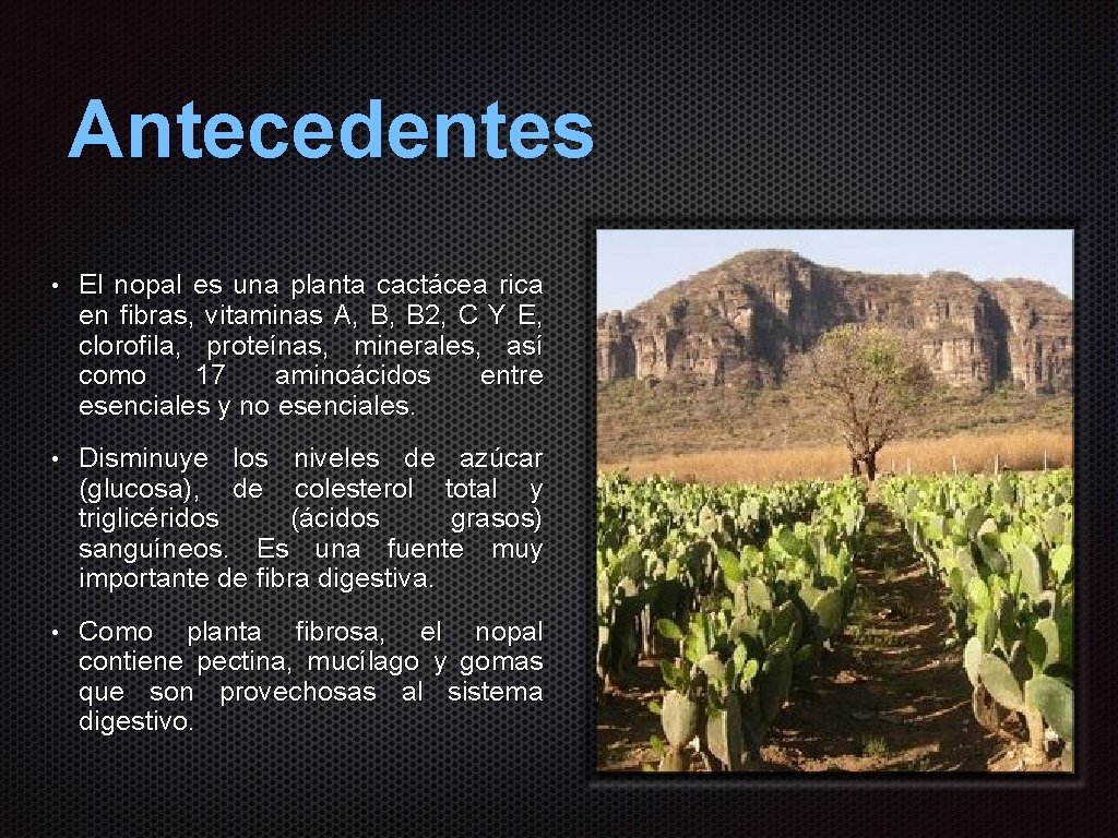 Antecedentes • El nopal es una planta cactácea rica en fibras, vitaminas A, B Antecedentes • El nopal es una planta cactácea rica en fibras, vitaminas A, B