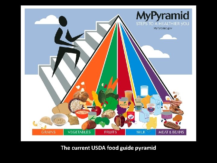 The current USDA food guide pyramid 