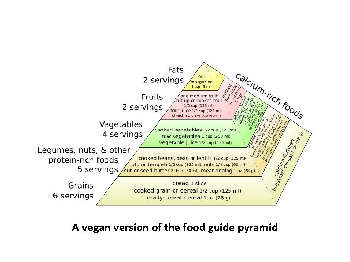 A vegan version of the food guide pyramid 