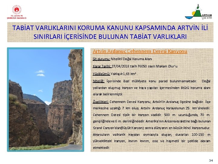 TABİAT VARLIKLARINI KORUMA KANUNU KAPSAMINDA ARTVİN İLİ SINIRLARI İÇERİSİNDE BULUNAN TABİAT VARLIKLARI Artvin Ardanuç