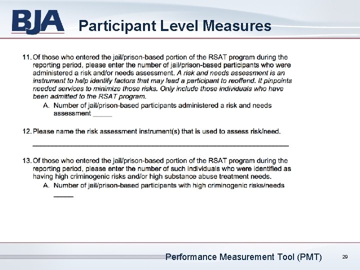 Participant Level Measures Performance Measurement Tool (PMT) 29 