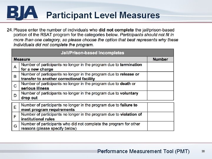 Participant Level Measures Performance Measurement Tool (PMT) 30 