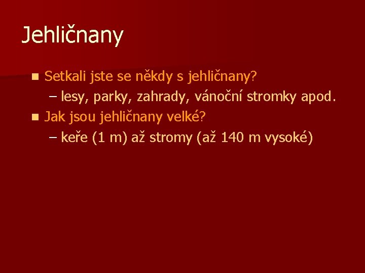 Jehličnany Setkali jste se někdy s jehličnany? – lesy, parky, zahrady, vánoční stromky apod.