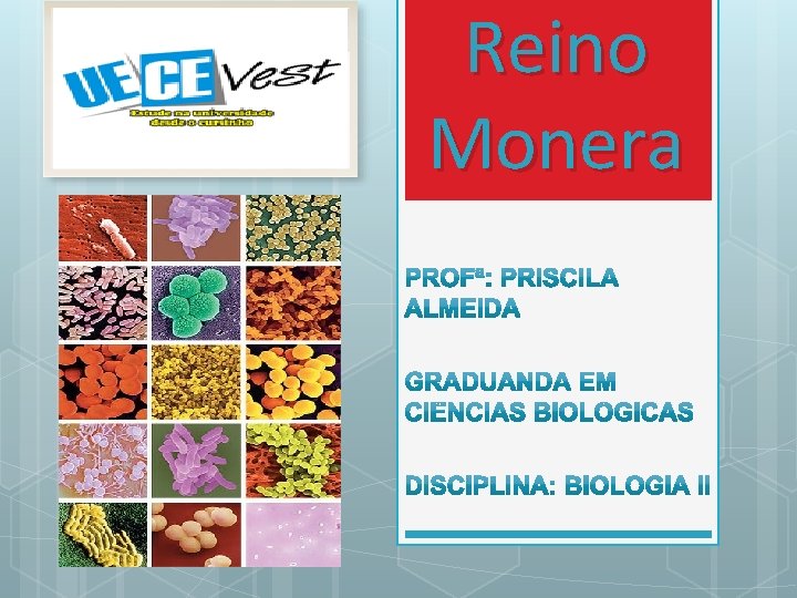Reino Monera 
