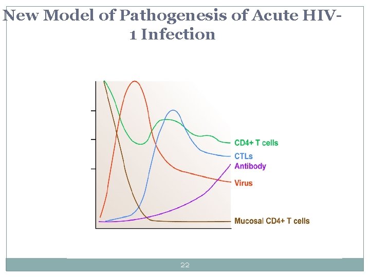New Model of Pathogenesis of Acute HIV 1 Infection 22 New Model of Pathogenesis of Acute HIV 1 Infection 22