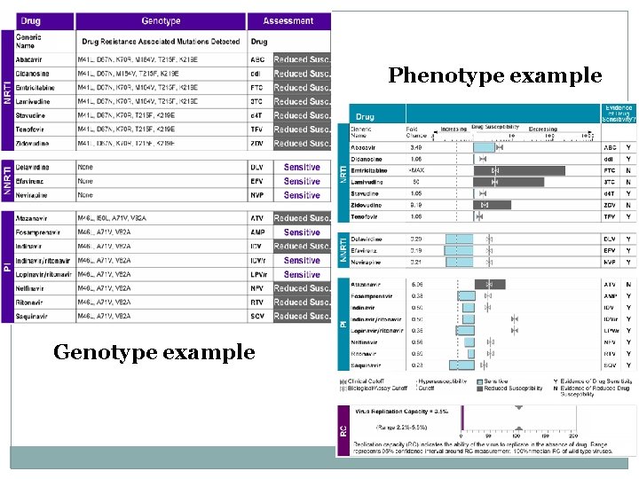 Phenotype example Genotype example Phenotype example Genotype example