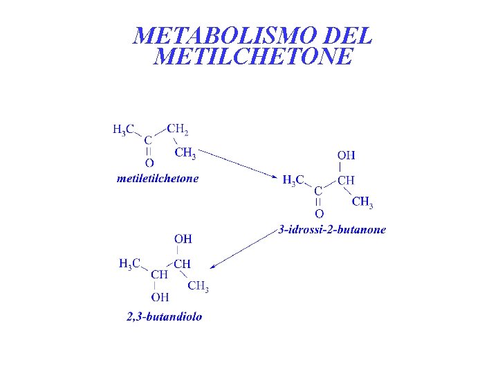 METABOLISMO DEL METILCHETONE 