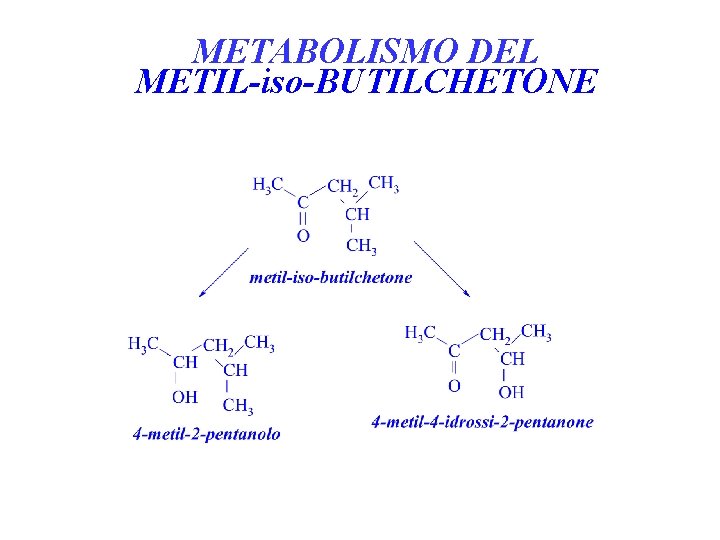 METABOLISMO DEL METIL-iso-BUTILCHETONE 