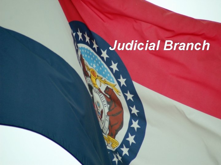 Judicial Branch 