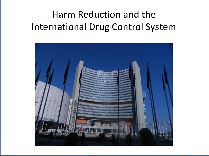 Harm Reduction and the International Drug Control System 
