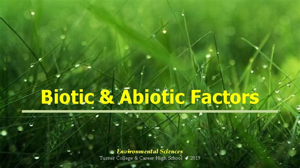 Biotic & Abiotic Factors Environmental Sciences Turner College & Career High School 2019 