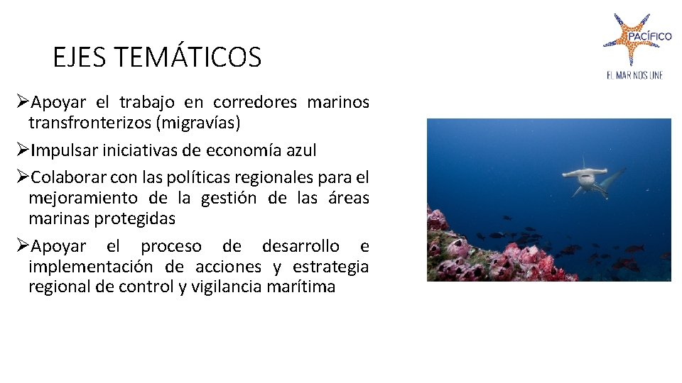 EJES TEMÁTICOS ØApoyar el trabajo en corredores marinos transfronterizos (migravías) ØImpulsar iniciativas de economía