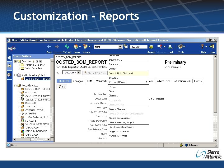 Customization - Reports 