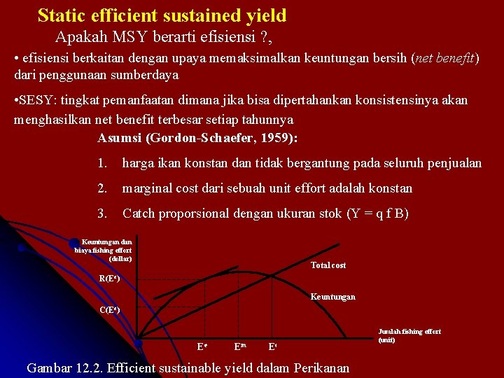 Static efficient sustained yield Apakah MSY berarti efisiensi ? , • efisiensi berkaitan dengan