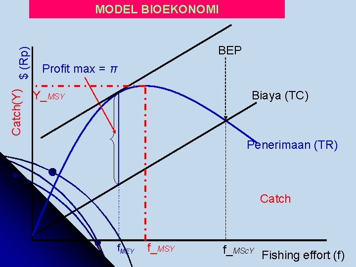 Catch(Y) $ (Rp) MODEL BIOEKONOMI BEP Profit max = π Biaya (TC) Y_MSY Penerimaan