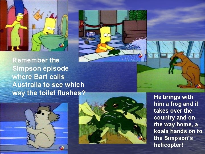 Remember the Simpson episode where Bart calls Australia to see which way the toilet