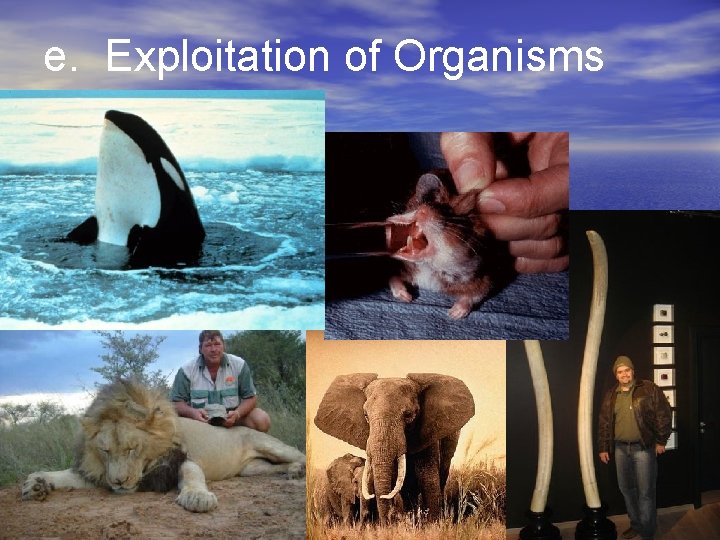 e. Exploitation of Organisms 