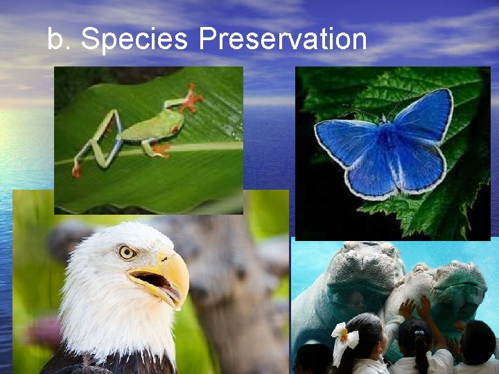 b. Species Preservation 