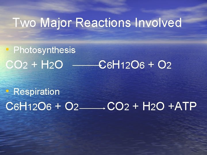 Two Major Reactions Involved • Photosynthesis CO 2 + H 2 O • Respiration