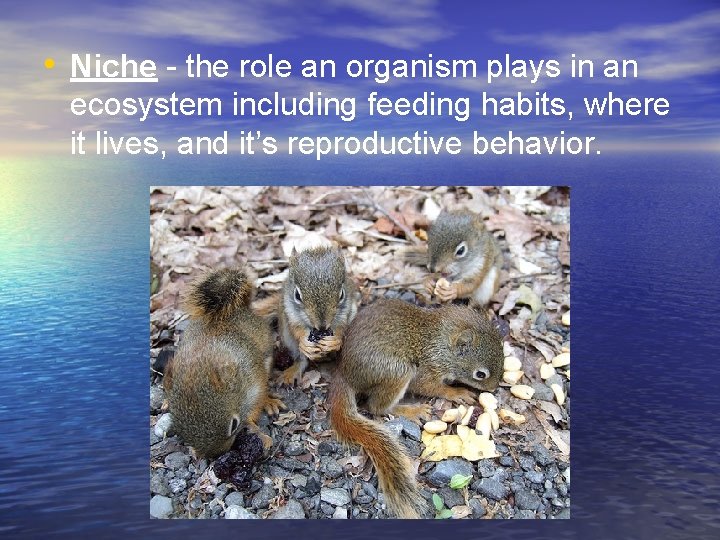  • Niche - the role an organism plays in an ecosystem including feeding