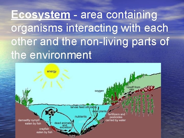 Ecosystem - area containing organisms interacting with each other and the non-living parts of