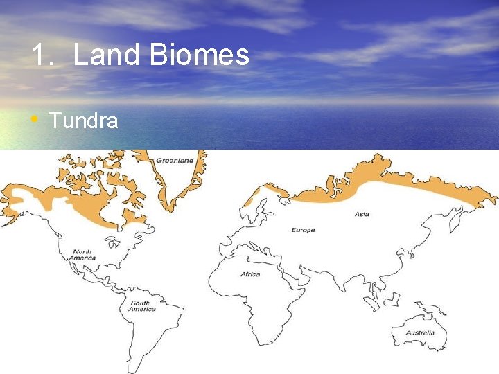 1. Land Biomes • Tundra 