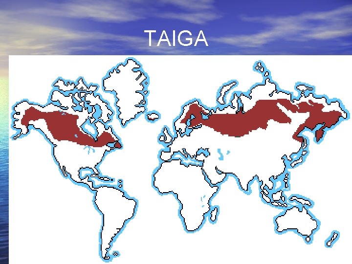 TAIGA 